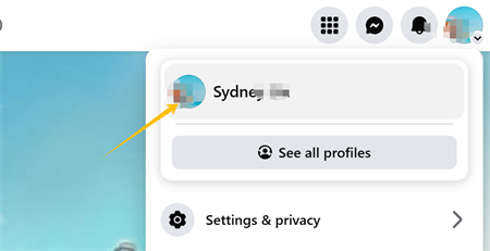 click profile picture on facebook ফেসবুকে প্রোফাইল ছবি ক্লিক করুন